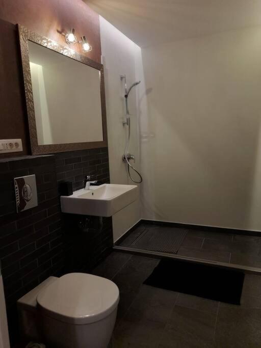 Alto Studio & Free Private Parking Brașov Exterior foto