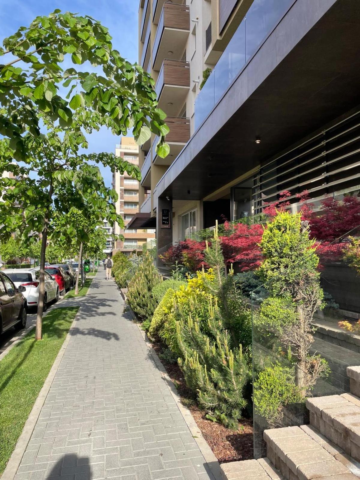 Alto Studio & Free Private Parking Brașov Exterior foto