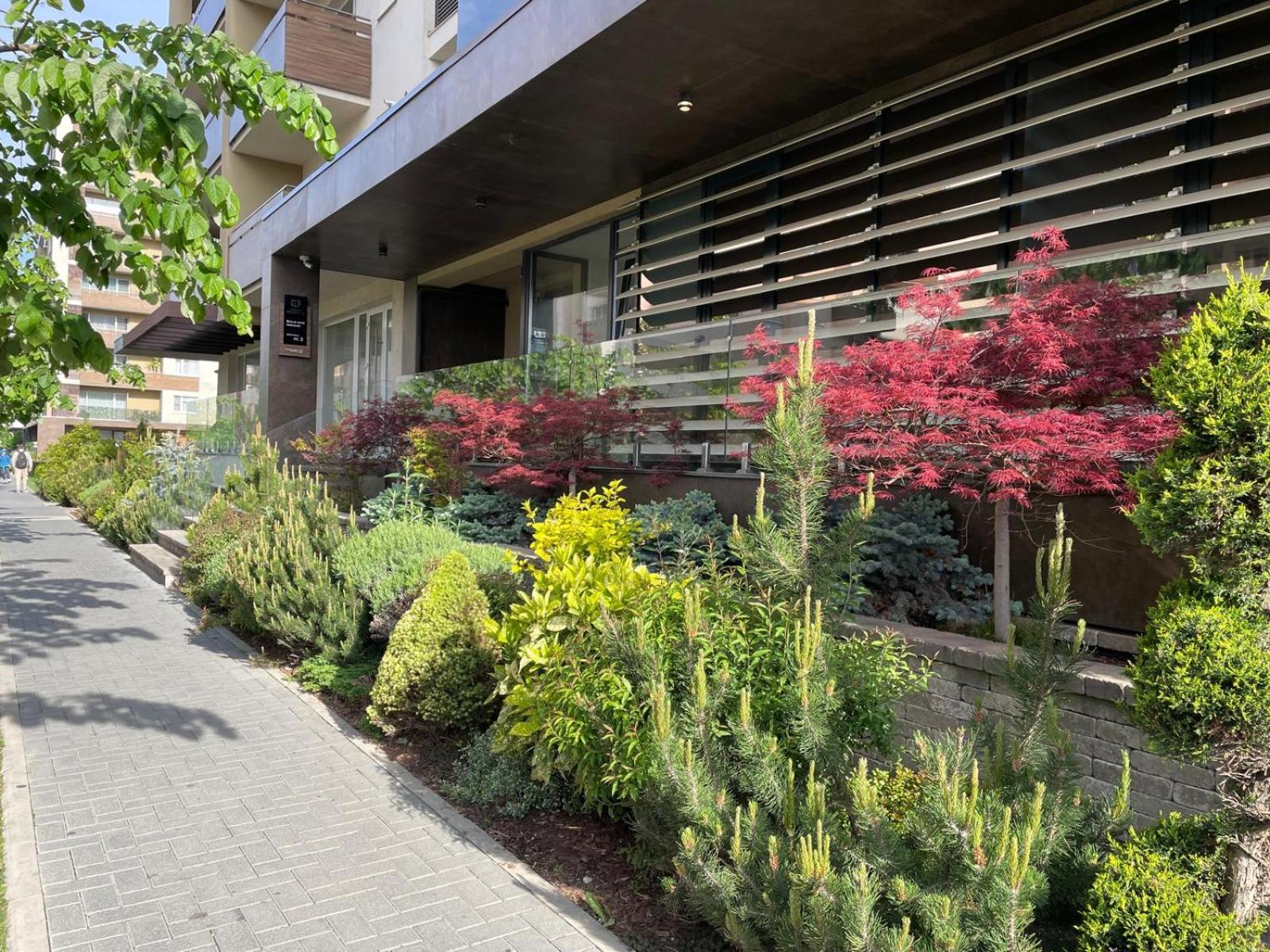 Alto Studio & Free Private Parking Brașov Exterior foto